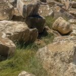 کوپ سنگ مرمر