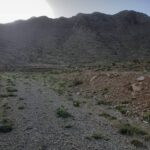 فروش معدن شن و ماسه کوهی