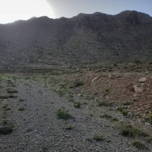 فروش معدن شن و ماسه کوهی