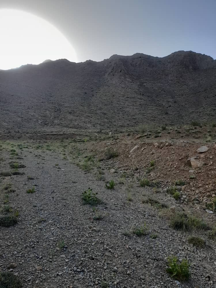 فروش معدن شن و ماسه کوهی