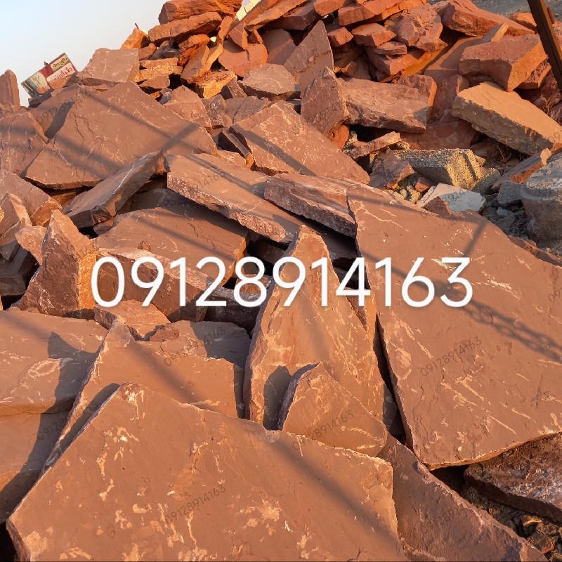 فروش سگ لا شه