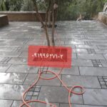 فروش سنگ لاشه سنگ ورقه ای سنگ مالون