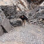 قیمت سنگ مالون تنی سنگ لاشه تنی خرید سنگ